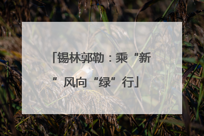 锡林郭勒：乘“新”风向“绿”行