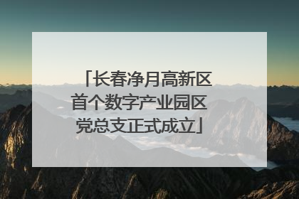 长春净月高新区首个数字产业园区党总支正式成立