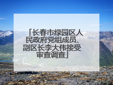 长春市绿园区人民政府党组成员、副区长李大伟接受审查调查