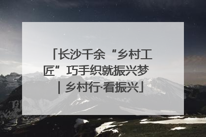 长沙千余“乡村工匠”巧手织就振兴梦｜乡村行·看振兴