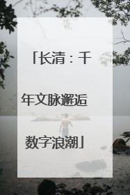 长清：千年文脉邂逅数字浪潮
