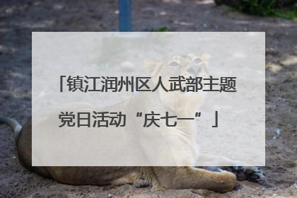 镇江润州区人武部主题党日活动“庆七一”