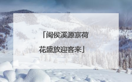 闽侯溪源寨荷花盛放迎客来