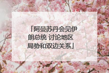 阿曼苏丹会见伊朗总统 讨论地区局势和双边关系