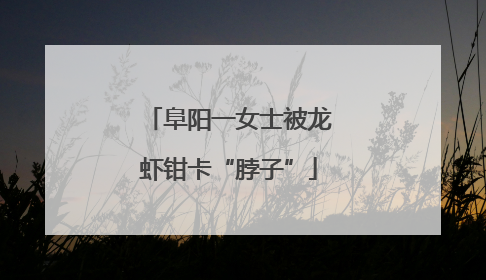 阜阳一女士被龙虾钳卡“脖子”