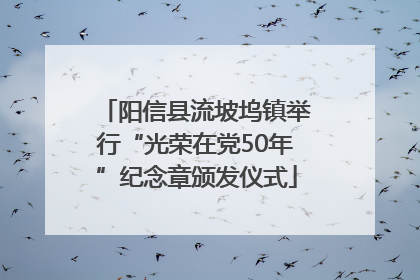阳信县流坡坞镇举行“光荣在党50年”纪念章颁发仪式