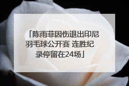 陈雨菲因伤退出印尼羽毛球公开赛 连胜纪录停留在24场