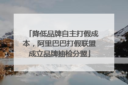 降低品牌自主打假成本，阿里巴巴打假联盟成立品牌抽检分盟