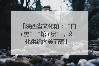 陕西省文化馆：“白+黑”“馆+景”，文化供给向美而聚