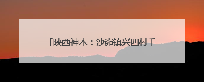 陕西神木：沙峁镇兴四村千亩杂果园结出“杏”福果