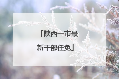 陕西一市最新干部任免