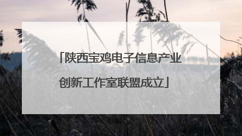 陕西宝鸡电子信息产业创新工作室联盟成立