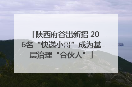 陕西府谷出新招 206名“快递小哥”成为基层治理“合伙人”