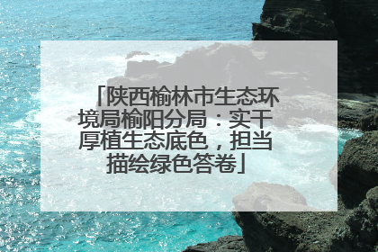 陕西榆林市生态环境局榆阳分局：实干厚植生态底色，担当描绘绿色答卷