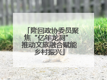 隆回政协委员聚焦“亿年龙洞” 推动文旅融合赋能乡村振兴