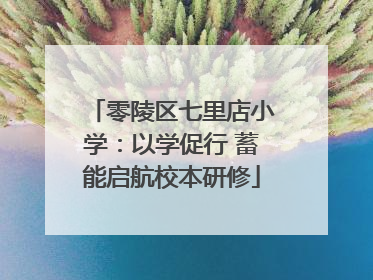 零陵区七里店小学：以学促行 蓄能启航校本研修