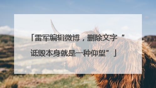 雷军编辑微博，删除文字“诋毁本身就是一种仰望”