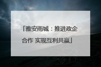 雅安雨城：推进政企合作 实现互利共赢