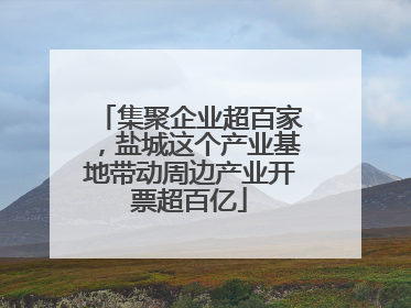 集聚企业超百家，盐城这个产业基地带动周边产业开票超百亿
