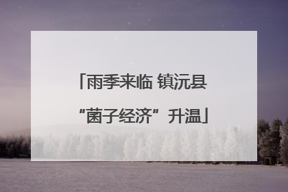 雨季来临 镇沅县“菌子经济”升温
