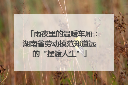 雨夜里的温暖车厢：湖南省劳动模范郑道远的“摆渡人生”