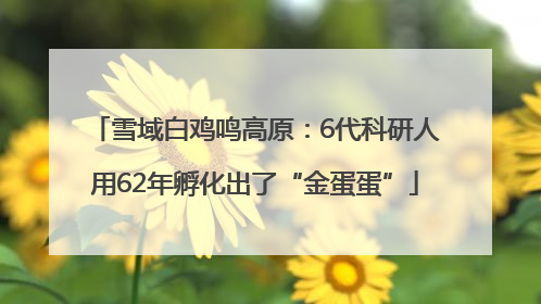雪域白鸡鸣高原：6代科研人用62年孵化出了“金蛋蛋”