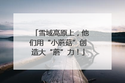 雪域高原上，他们用“小蘑菇”创造大“蘑”力！