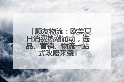 顺友物流：欧美夏日消费热潮涌动，选品、营销、物流一站式攻略来袭