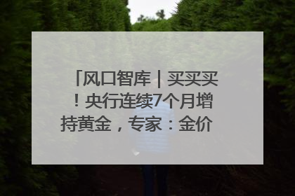 风口智库｜买买买！央行连续7个月增持黄金，专家：金价或仍易涨难跌
