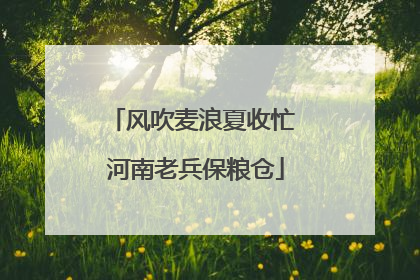 风吹麦浪夏收忙 河南老兵保粮仓