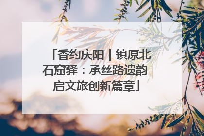香约庆阳｜镇原北石窟驿：承丝路遗韵 启文旅创新篇章
