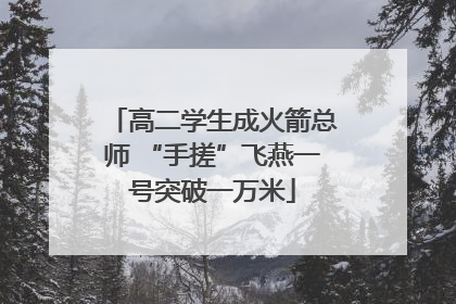 高二学生成火箭总师 “手搓”飞燕一号突破一万米