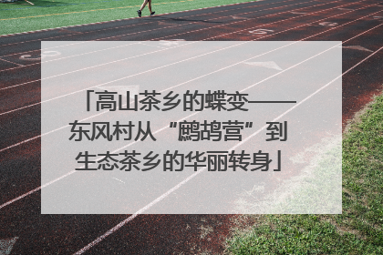 高山茶乡的蝶变——东风村从“鹧鸪营”到生态茶乡的华丽转身