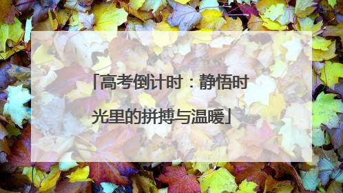 高考倒计时：静悟时光里的拼搏与温暖