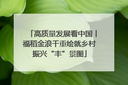 高质量发展看中国丨福稻金浪千重绘就乡村振兴“丰”景图
