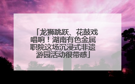 龙狮跳跃、花鼓戏唱响！湖南有色金属职院这场沉浸式非遗游园活动很带感