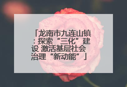 龙南市九连山镇：探索“三化”建设 激活基层社会治理“新动能”