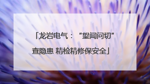 龙岩电气：“望闻问切”查隐患 精检精修保安全