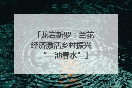 龙岩新罗：兰花经济激活乡村振兴“一池春水”