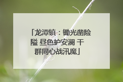 龙潭镇：锄光凿险隘 昼色护安澜 干群同心战汛魔