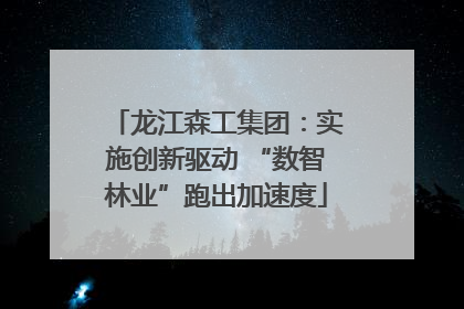 龙江森工集团：实施创新驱动 “数智林业”跑出加速度