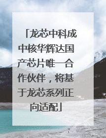龙芯中科成中核华辉达国产芯片唯一合作伙伴，将基于龙芯系列正向适配