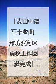 麦田中谱写丰收曲 潍坊滨海区夏收工作圆满完成