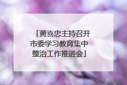 黄喜忠主持召开市委学习教育集中整治工作推进会