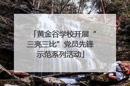 黄金谷学校开展“三亮三比”党员先锋示范系列活动