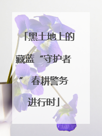 黑土地上的藏蓝“守护者” 春耕警务进行时