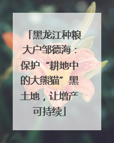 黑龙江种粮大户邹德海：保护“耕地中的大熊猫”黑土地，让增产可持续
