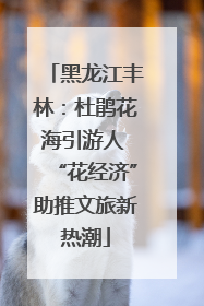 黑龙江丰林：杜鹃花海引游人 “花经济”助推文旅新热潮