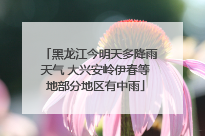 黑龙江今明天多降雨天气 大兴安岭伊春等地部分地区有中雨