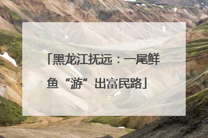 黑龙江抚远：一尾鲜鱼“游”出富民路
